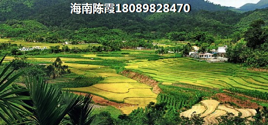 好口福是啥意思
