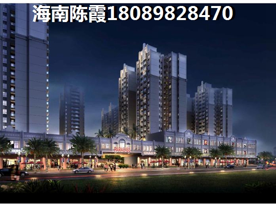 炒的决明子怎么泡茶