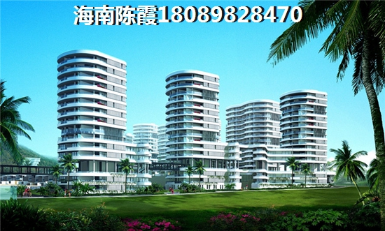 正宗熟地黄古法炮制