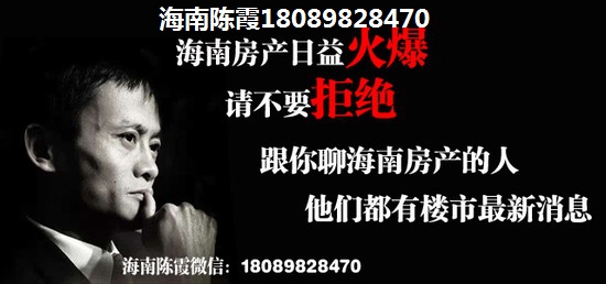 贼头贼脑的小游戏