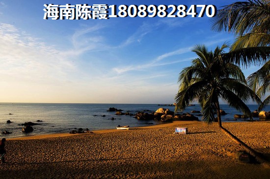 装作不怕其实很怕是什么歌