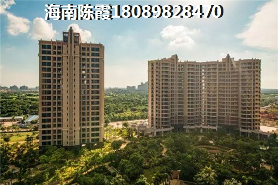 放弃的人会心疼吗是什么歌